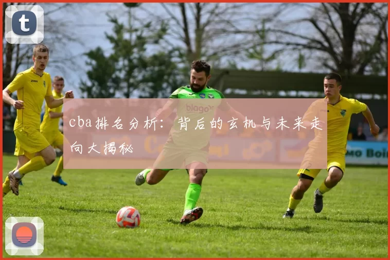 cba排名分析:背后的玄机与未来走向大揭秘