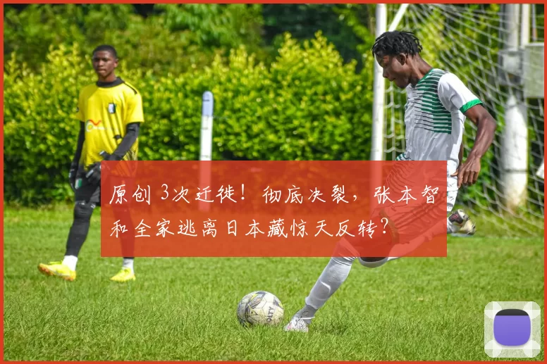 原创 3次迁徙！彻底决裂，张本智和全家逃离日本藏惊天反转？