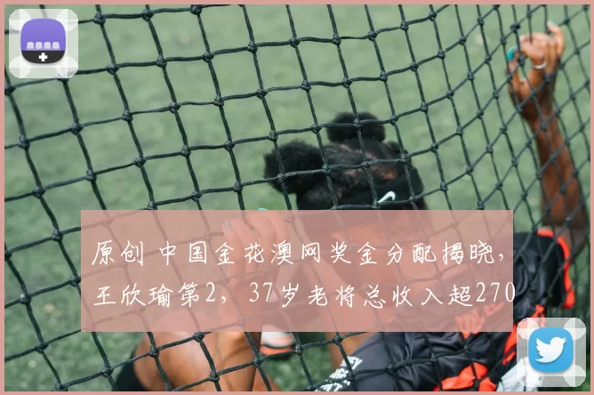 原创 中国金花澳网奖金分配揭晓，王欣瑜第2，37岁老将总收入超270万