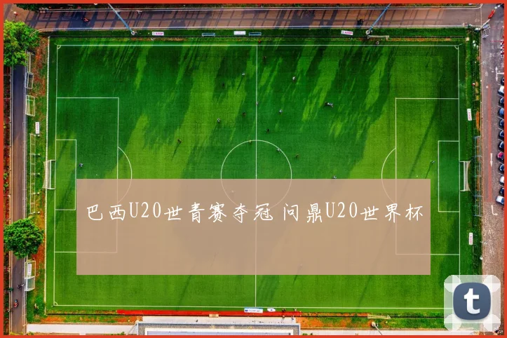 巴西U20世青赛夺冠 问鼎U20世界杯